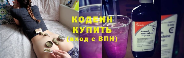 амф Пестово