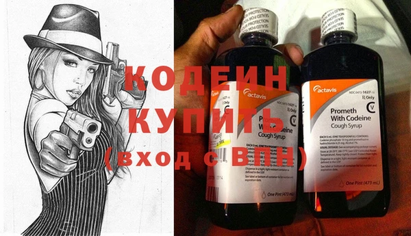 амф Пестово