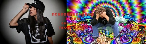 мдпв Алзамай