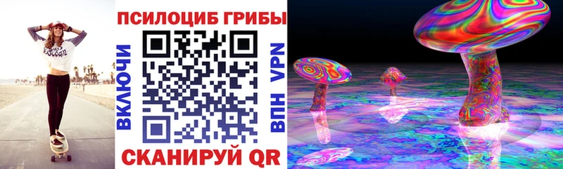 цена   Полысаево  Галлюциногенные грибы Psilocybine cubensis 